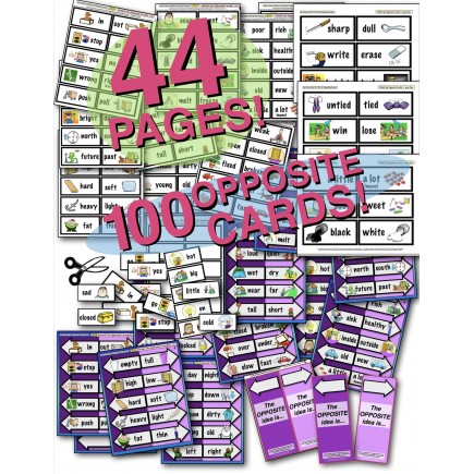 100 Illustrated Opposites Cards! (50 pairs) & Reveal Activity! 44 PAGES!